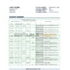 Afghanistan International Bank (AIB) bank statement template in Excel and PDF format