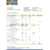 Argentina Banco Credicoop bank statement template in Excel and PDF format