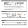 Australia Citibank bank statement Word and PDF template, 6 pages