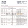Australia Westpac bank statement template in Word and PDF format