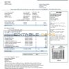Austria Austrian Power Grid AG utility bill template in Word and PDF format