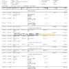 Bangladesh Basic bank statement Word and PDF template, 2 pages