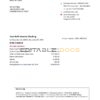 USA Bank of America bank statement easy to fill template in Word and PDF format