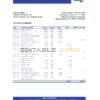 Brazil Banco Votorantim bank statement template in Excel and PDF format