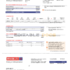 Brazil Gas utility bill template in Word and PDF format
