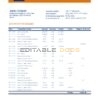 Brazil Itau bank statement template in Excel and PDF format, fully editable