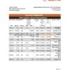 Brazil Safra bank statement template in Excel and PDF format