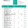Brunei Baiduri bank statement, Word and PDF template, 3 pages