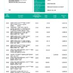 Brunei Baiduri bank statement, Word and PDF template, 3 pages