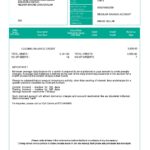 Brunei Baiduri bank statement, Word and PDF template, 3 pages