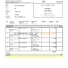 Bulgaria Raiffeisen bank statement, Word and PDF template