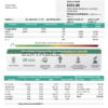 Mexico Electricity CFE utility bill template in Word and PDF format, fully editable