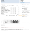 Hong Kong CLP Power Hong Kong Limited utility bill template in Word and PDF format
