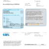 USA COX utility bill template in Word and PDF format