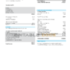 USA COX utility bill template in Word and PDF format