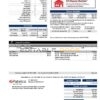 USA California Patelco bank card statement, Word and PDF template, 2 pages