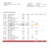 Cameroon Afriland First bank statement Word and PDF template