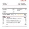 Cameroon UBA bank statement template in Word and PDF format