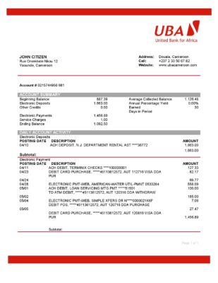 Cameroon UBA bank statement template in Word and PDF format