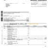 Canada Royal Bank of Canada (RBC) bank statement template in Word and PDF format (4 pages)