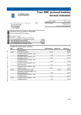 Canada Royal Bank of Canada (RBC) bank statement template in .xls and .pdf file format (4 pages) (AutoSum)