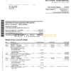 Canada Royal Bank of Canada (RBC) bank statement, Word and PDF template, 4 pages, version 2
