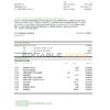 Canada TD Bank statement easy to fill template in Excel and PDF format (AutoSum)