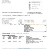 USA Capital One bank statement template in Word and PDF format, version 4