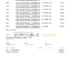USA Capital One bank statement Word and PDF template, 4 pages