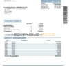 USA JP Morgan Chase bank proof of address statement template in Word and PDF format, .doc and .pdf format