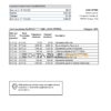 Chile Banco Bice bank statement Excel and PDF template (AutoSum)