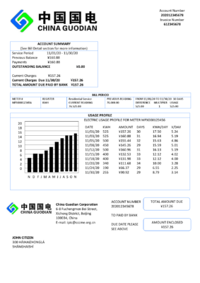 China Guodian Corporation electricity utility bill template in Word and PDF format