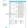 China Industrial and Commercial Bank of China bank statement template in Excel and PDF format