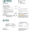 China State Grid Corporation of China electricity utility bill template in Word and PDF format