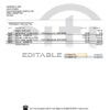 United Kingdom Citibank bank statement template in .doc and .pdf format