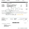 Canada British Columbia City of Vancouver utility bill template in Word and PDF format