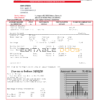 Denmark Primagaz Denmark gas utility bill template in Word and PDF format