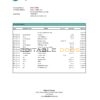 Estonia Bigbank bank statement Excel and PDF template