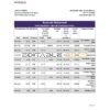 Ethiopia Awash Bank statement Excel and PDF template