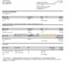 France Citibank bank statement template in .xls and .pdf file format