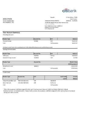 France Citibank bank statement template in .xls and .pdf file format