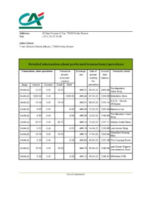 France Editable Templates 1 France Credite Agricole Bank statement Excel and PDF template