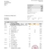 France HSBC bank statement template in Excel and PDF format