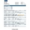 France La Banque Postale bank statement easy to fill template in .xls and .pdf file format