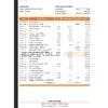 Georgia Bank of Georgia statement Excel and PDF template