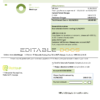 Georgia Electrics.ge electricity bill template in Word and PDF format