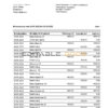 Germany Vonovia bank statement, Word and PDF template, 3 pages