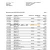 Germany Vonovia bank statement, Word and PDF template, 3 pages