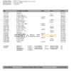 Greece Alpha bank statement template in Word and PDF format