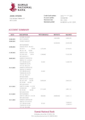 Hawaii Hawaii National Bank statement Word and PDF template